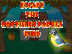 Spill Escape the Northern Parula Bird