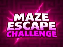 Spill Maze Escape Challenge