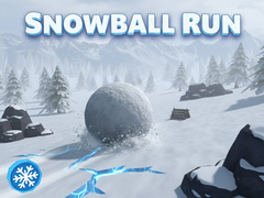Spill Snowball Run