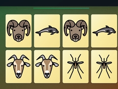 Spill Match Pairs Memory Challenge