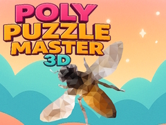 Spill Poly Puzzle Master 3D
