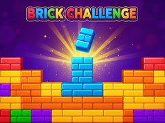 Spill Brick Challenge