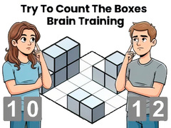 Spill Try To Count The Boxes Brain Training