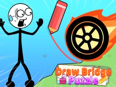 Spill Draw Bridge Puzzle 