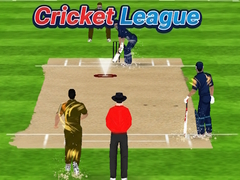 Spill Cricket League