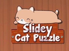 Spill Slidey Cat Puzzle