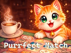 Spill Purrfect Match