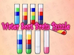Spill Water Sort Brain Puzzle