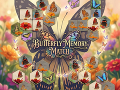 Spill Butterfly Memory Match