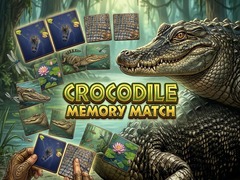 Spill Crocodile Memory Match