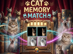 Spill Cat Memory Match