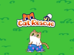 Spill Cat Rescue