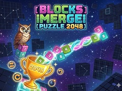 Spill Blocks Merge Puzzle 2048