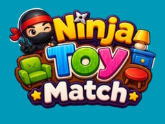 Spill Ninja Toy Match