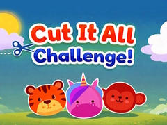 Spill Cut It All Challenge!