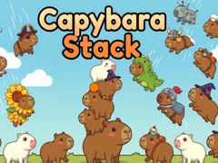 Spill Capybara Stack