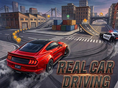 Spill Real Car Driving