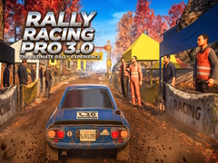 Spill Rally Racing Pro 3.0 