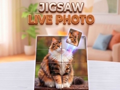 Spill Jigsaw Live Photo