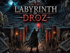 Spill Labyrinth of Droz