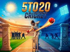 Spill 5TO20 Cricket