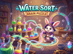 Spill Water Sort Brain Puzzles
