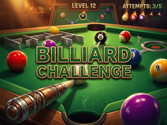 Spill Billiard Challenge