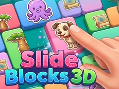 Spill Slide Blocks 3D