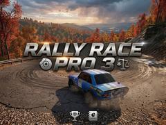 Spill Rally Race Pro 3