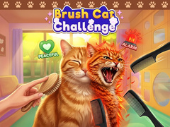 Spill Brush Cat Challenge 