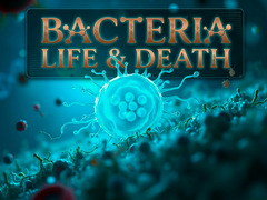 Spill Bacteria: Life & Death
