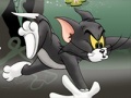 Spill Tom And Jerry Chase In Marsh