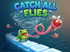 Spill Catch All Flies
