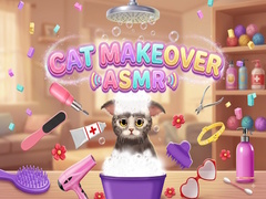 Spill Cat Makeover ASMR