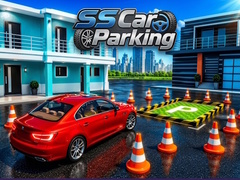 Spill Ss Car Parking