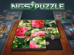 Spill NGS Puzzle
