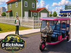 Spill E-Rickshaw Simulator
