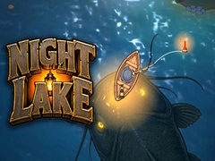 Spill Night Lake