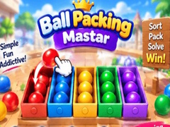 Spill Packing Master Puzzle