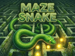 Spill Maze Snake