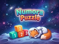 Spill Numora Puzzle