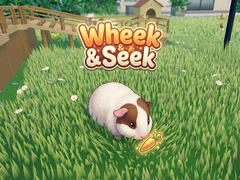 Spill Wheek & Seek