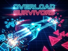 Spill Overload Survivors