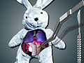 Spill Save The Bunny