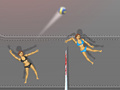 Spill Ragdoll Volleyball