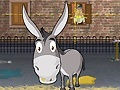 Spill Donkey Gafoor
