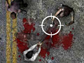 Spill Undead Highway